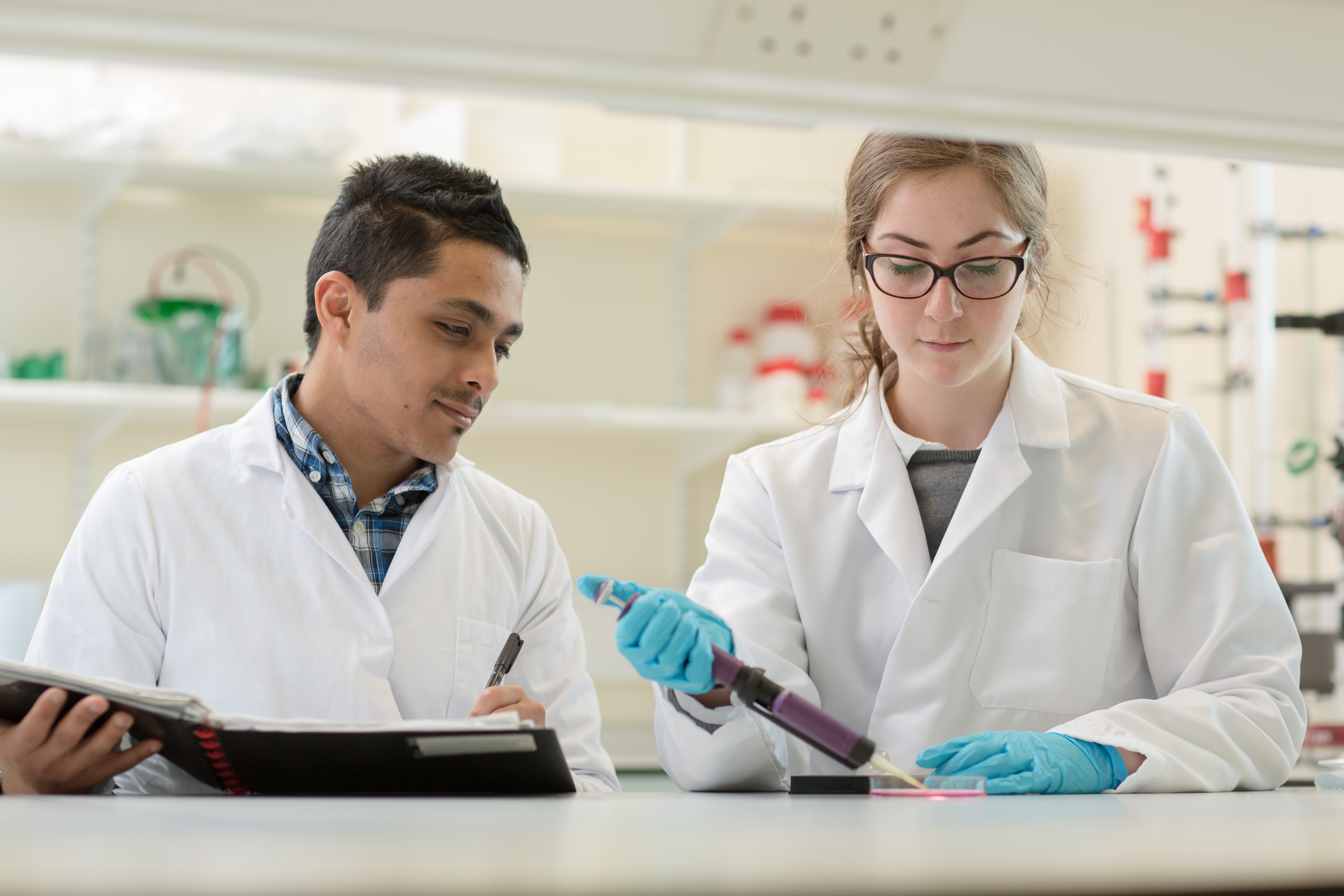 scientists work in a laboratory