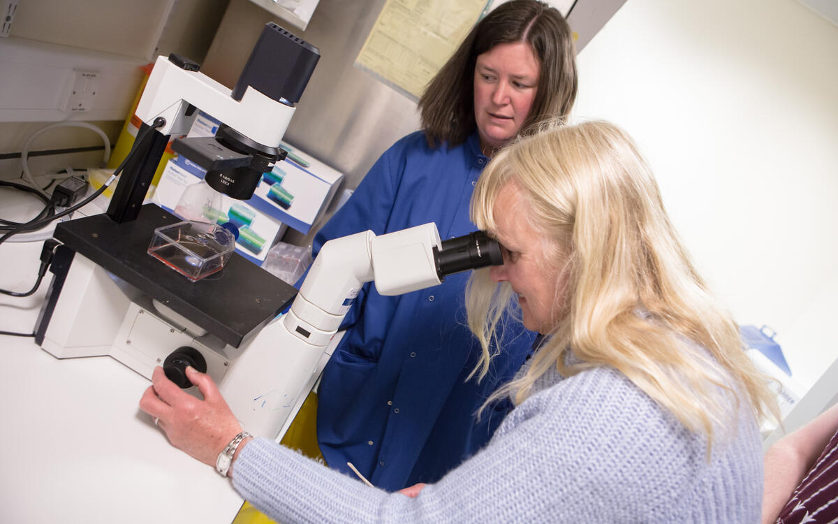 lady looks through microscope in lab