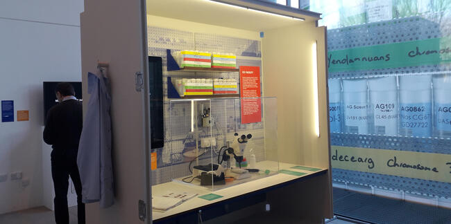 A display case containing objects relating to the work of fly facility technicians, part of the Craft and Graft exhibition celebrating technicians' work. Photo: Sara Peres 